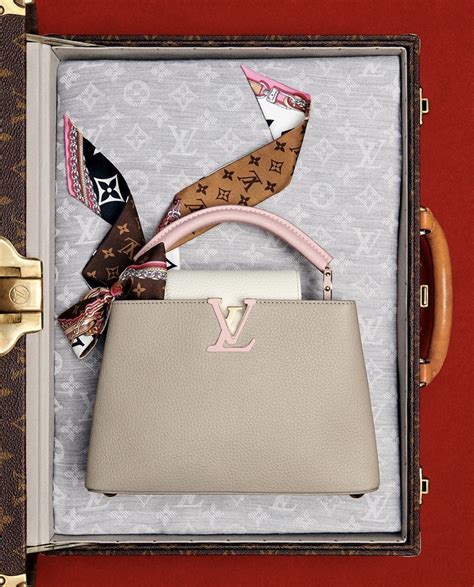 Here's Everything You Need to Know About the Louis Vuitton Capucines.